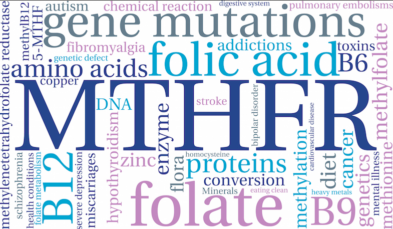 Genetic Testing for MTHFR Gene Defect