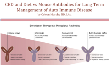 CBD and Diet vs Mouse Antibodies for Long Term Management of Auto Immune Disease